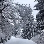 דירה Schoenblick ראדנטיין