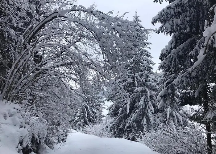 Lägenhet Schoenblick Radenthein